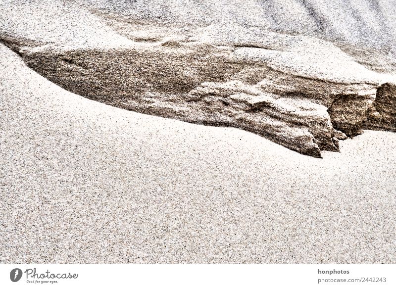 Sandstruktur3 Natur Strand braun gelb Farbfoto Außenaufnahme Nahaufnahme Strukturen & Formen Menschenleer Tag