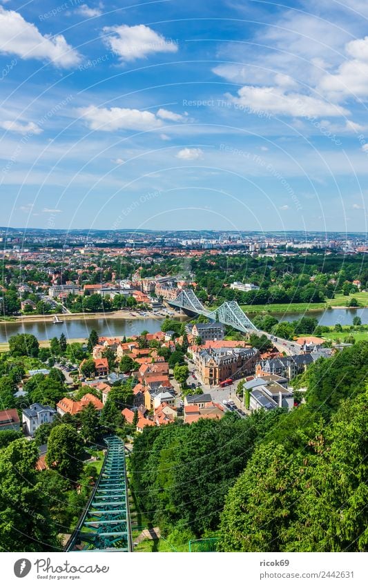 Blick über die Elbe auf Dresden Ferien & Urlaub & Reisen Tourismus Haus Wolken Baum Park Fluss Brücke Gebäude Architektur Sehenswürdigkeit blau grün Stadt
