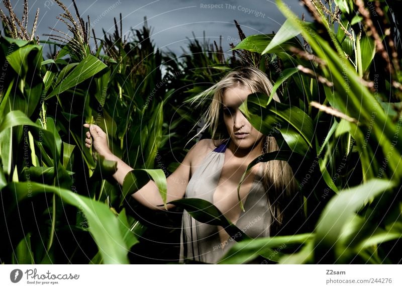 In the Jungle Lifestyle Stil feminin Junge Frau Jugendliche 1 Mensch 18-30 Jahre Erwachsene Natur Landschaft Gewitterwolken Sommer Grünpflanze Feld Kleid blond
