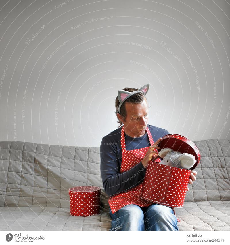 ... maus Mensch maskulin Mann Erwachsene 1 30-45 Jahre sitzen Maus Katze Punkt Schachtel Geschenk Überraschung Suche staunen aufmachen offen Gully Inhalt