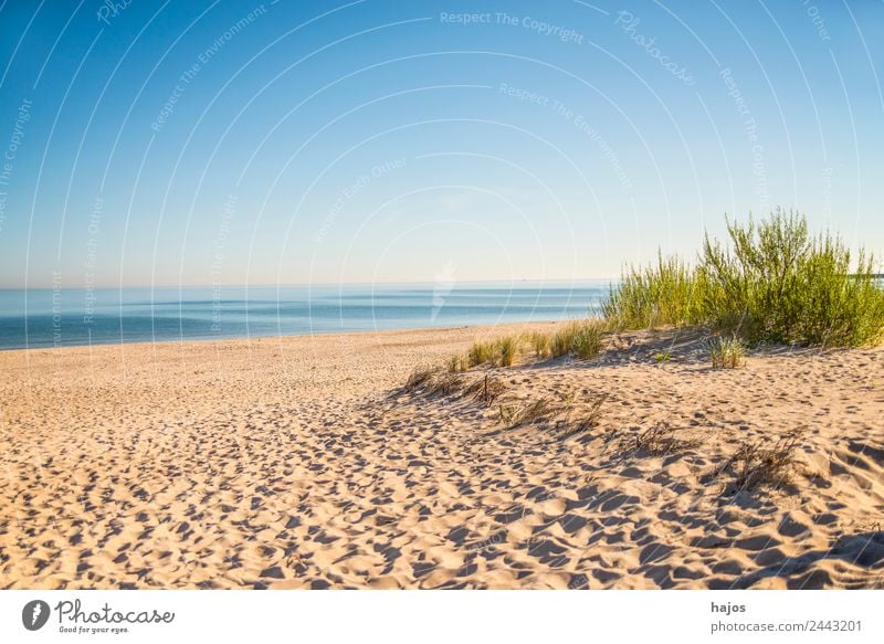 Strand an der polnischen Ostseeküste Umwelt maritim Idylle Sandstrand Strandhafer Meer blau Himmel leer einsam wild menschenleer Ferien & Urlaub & Reisen