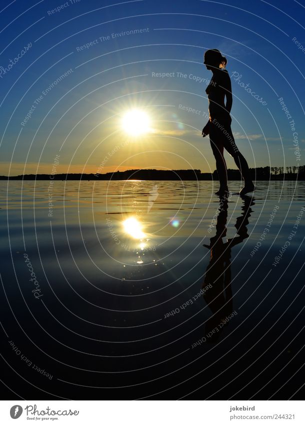 Wasserläufer elegant harmonisch Erholung ruhig Meditation Sommer Sommerurlaub feminin Junge Frau Jugendliche 1 Mensch Himmel Sonnenaufgang Sonnenuntergang See