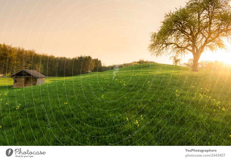 Sonnenuntergang über einer Scheune und Frühlingswiese schön Tourismus Sommer Natur Landschaft Gras Wiese Wald Hügel Optimismus Einsamkeit Idylle Deutschland