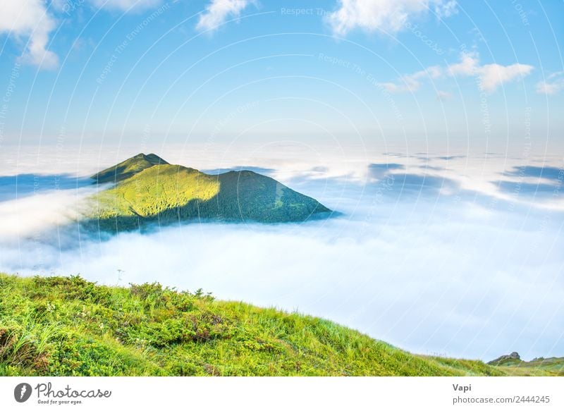 Gipfel des grünen Berges Ferien & Urlaub & Reisen Tourismus Abenteuer Sommer Sonne Meer Berge u. Gebirge Natur Landschaft Himmel Wolken Nebel Gras Hügel