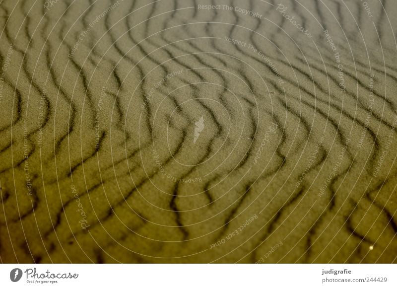 Strandformen Umwelt Natur Landschaft Sand Küste Ostsee Meer natürlich Wärme weich Strukturen & Formen Wellenform Farbfoto Gedeckte Farben Außenaufnahme Licht