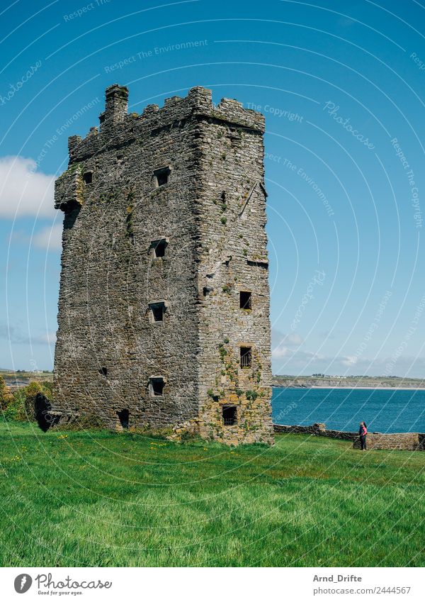Carrigaholt Castle – Irland Ferien & Urlaub & Reisen Tourismus Ausflug Abenteuer Ferne Sightseeing Sommer Mensch feminin Frau Erwachsene 1 30-45 Jahre