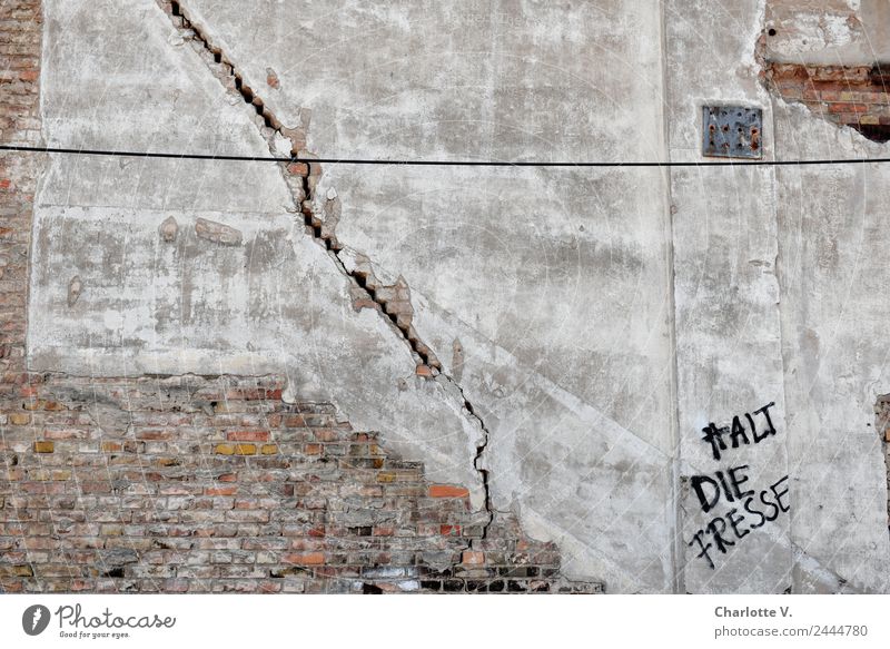 Riss | UT Dresden Stadt Mauer Wand Backstein Putzfassade Stein Schriftzeichen Graffiti alt frech kaputt rebellisch trashig wild grau rot schwarz weiß gereizt