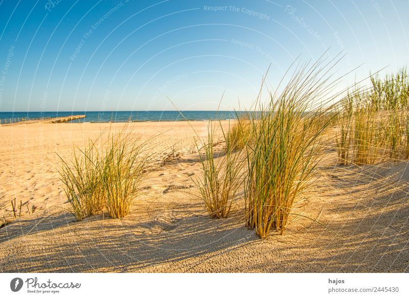 Strand an der polnischen Ostseeküste Sand maritim Idylle Tourismus Strandhafe Meer blau Himmel Sandstrand Polen weit leer einsam Menschenleer Sommer Sonne