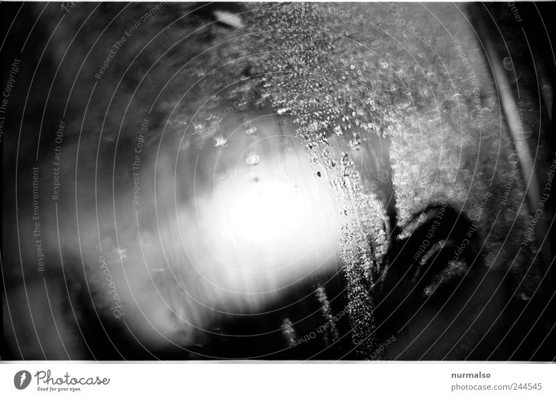 Morgentau Lifestyle Kunst Umwelt Natur Wassertropfen Klima Nebel Limousine Autofenster glänzend dunkel nass Stimmung Zeit Tau Schwarzweißfoto abstrakt Muster
