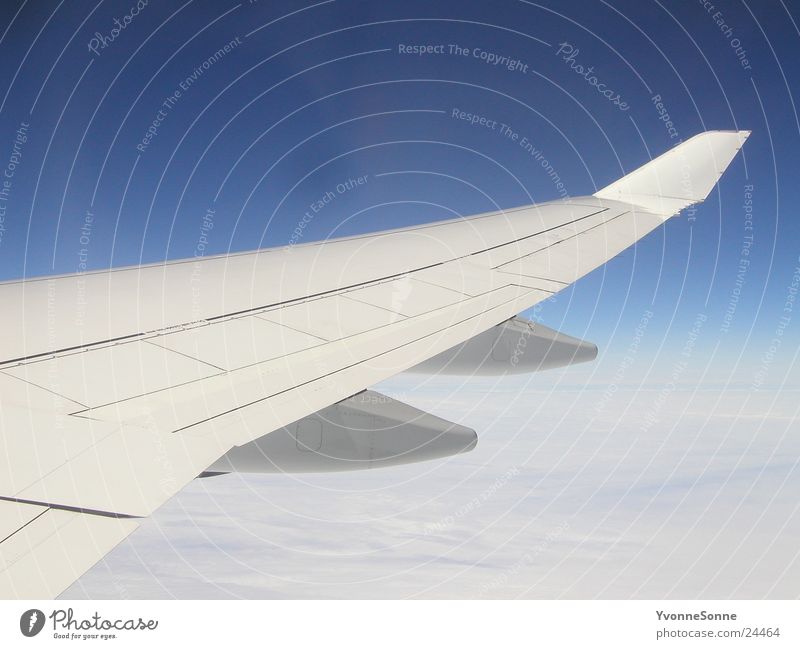 über den Wolken Flugzeug Tragfläche weiß Luftverkehr Himmel blau