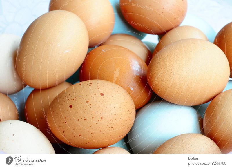 Eier Lebensmittel Ernährung Frühstück Koch Natur Tier Nutztier Verpackung frisch braun weiß Dutzend Kasten Zutaten Nahaufnahme Protein Hintergrundbild