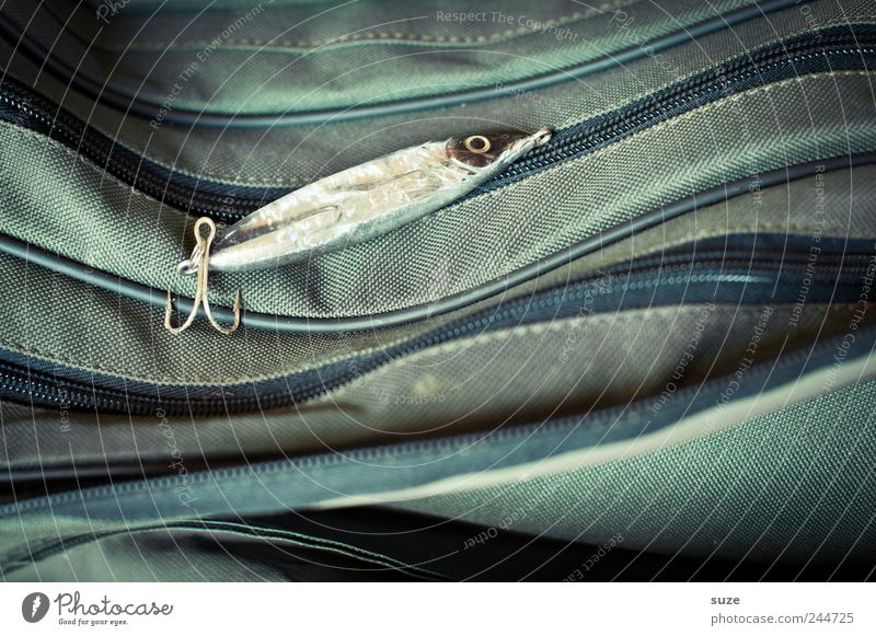 Trockenfisch Freizeit & Hobby Angeln Wellen Fisch Kunststoff grün Schwimmer (Angeln) Angelköder Haken Angeltasche Reißverschluss Dinge Tasche Angelzubehör
