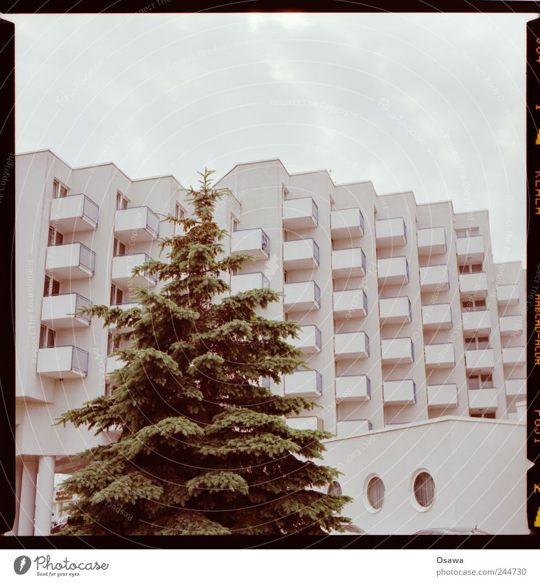 Hotel mit Nadelbaum Architektur Gebäude Bettenburg Fassade Balkon weiß Raster Strukturen & Formen Ordnung Reihe Himmel bedeckt Wolken Textfreiraum Menschenleer