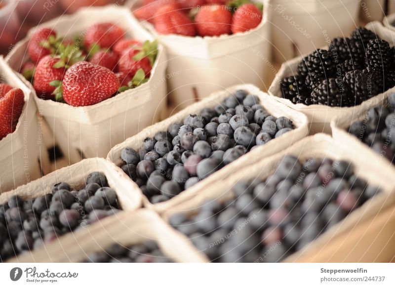 Beerensammlung Lebensmittel Frucht Brombeeren Erdbeeren Blaubeeren Ernährung Picknick Bioprodukte Vegetarische Ernährung Gesundheit wählen bezahlen blau violett