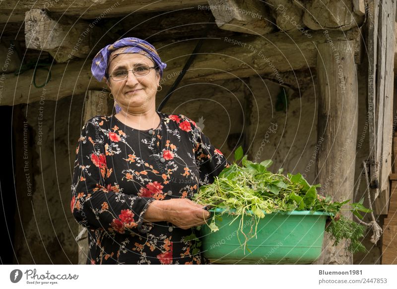 Porträt einer älteren Frau, die einen Gemüsebecher pflückt. Lebensmittel Ernährung Bioprodukte Vegetarische Ernährung Diät Lifestyle Stil Gesunde Ernährung