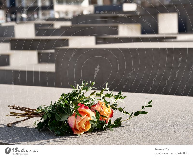 Krimi | ohne worte Kultur Stadt Hauptstadt Stadtzentrum Sehenswürdigkeit Wahrzeichen Denkmal eckig trist grau Berlin Massenmord Holocaustgedenkstätte Beton