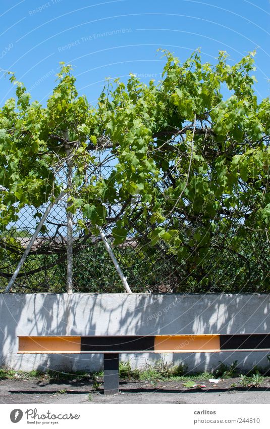 Parkplatz Sträucher Wachstum Leitplanke gestreift schwarz gelb grün blau Zaun Maschendrahtzaun Pfosten Schutz Mauer Barriere Ranke Blatt mediterran Mallorca