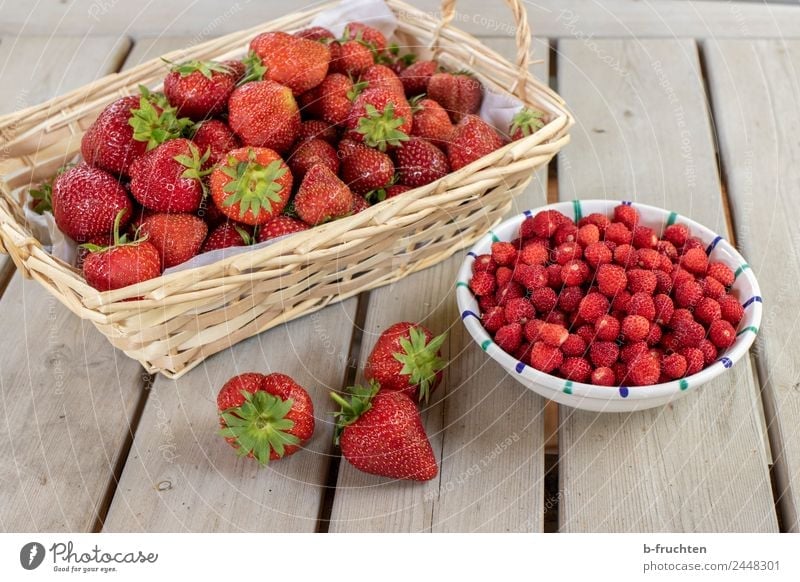 Erdbeer-Saison Lebensmittel Frucht Bioprodukte Essen frisch Gesundheit saftig rot genießen Wald-Erdbeere Erdbeeren fruchtig Tisch Korb Schalen & Schüsseln Ernte