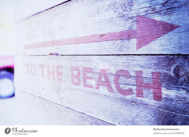 Bleach the beach Sommerurlaub Strand Schilder & Markierungen Farbfoto Außenaufnahme Lateinische Schrift Großbuchstabe Pfeil Hinweis Hinweisschild Fluchtlinie