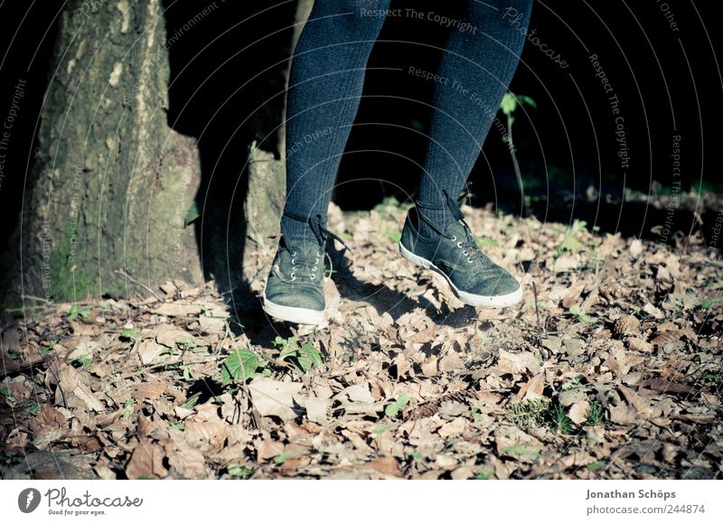 Laubhüpfer II Mensch Mädchen Kindheit Beine Fuß 1 Natur springen hüpfen Abheben hängen Schuhe Schuhsohle Strumpfhose Herbst Herbstlaub Politische Bewegungen