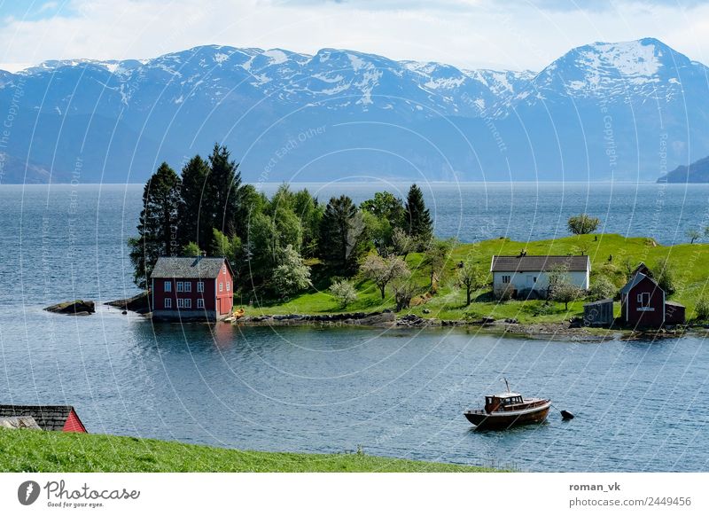 Häuser am See Umwelt Natur Landschaft Pflanze Schnee Berge u. Gebirge Fjord Idylle Insel einzigartig Norwegen schön Einsamkeit abgelegen zurückziehen