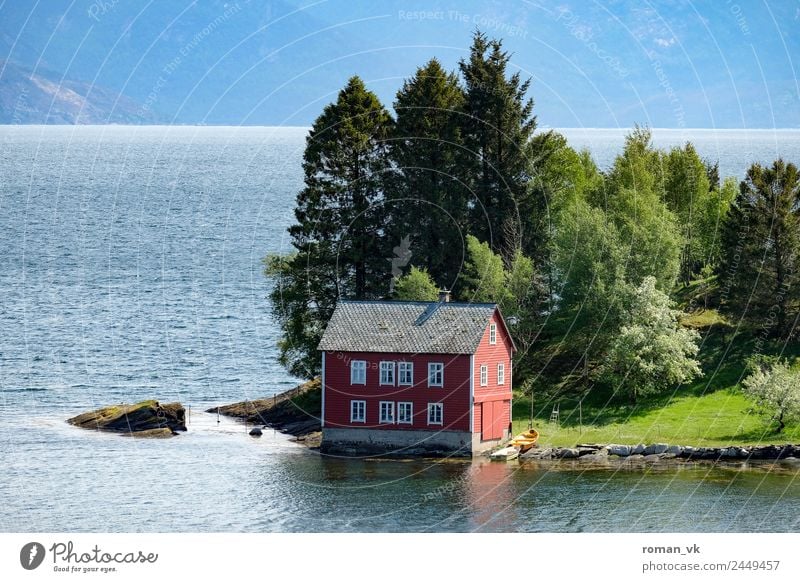 Haus im See Umwelt Natur Landschaft Pflanze Glück einzigartig Norwegen Einsamkeit Architektur grün schön urig Küste Fjord Wald Wasser bequem traumhaft himmlisch