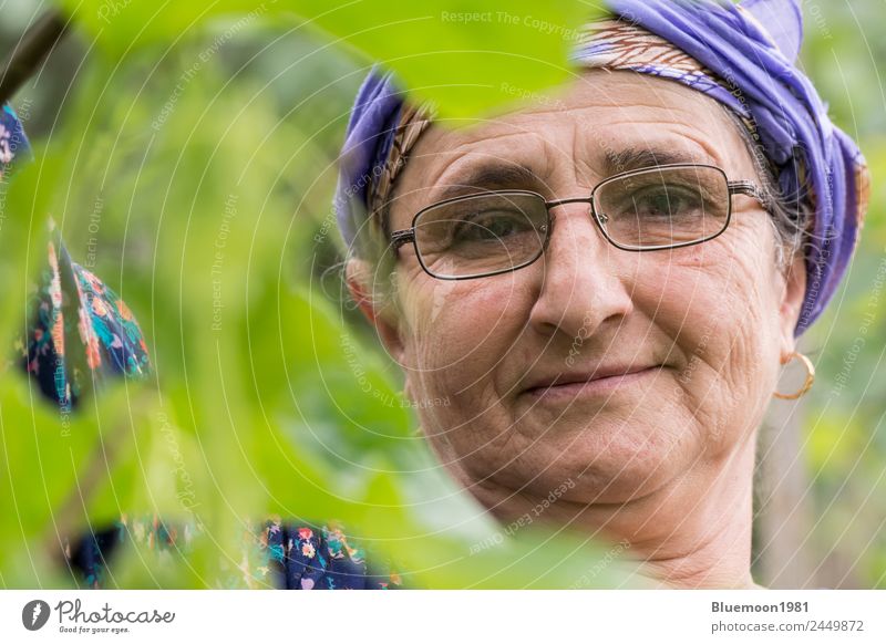 Nahaufnahme eines Porträts einer älteren Frau im Garten Gemüse Bioprodukte Vegetarische Ernährung Lifestyle Stil Gesundheit Gesunde Ernährung Wohlgefühl