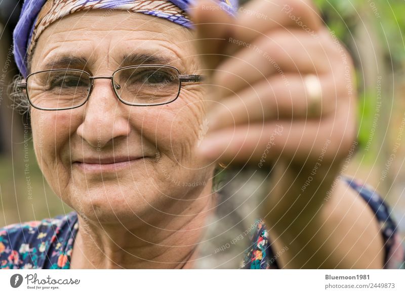 Nahaufnahme Porträt einer älteren muslimischen Frau mit Brille im Garten Gemüse Lifestyle Gesundheit Gesunde Ernährung Wellness Wohlgefühl Freizeit & Hobby