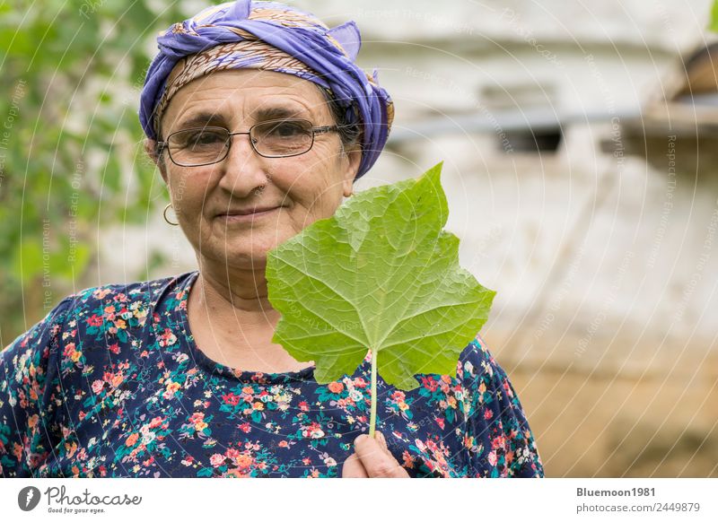 Porträt einer älteren muslimischen Frau, die ein Gurkenpflanzenblatt mit der Hand hält Gemüse Ernährung Essen Bioprodukte Vegetarische Ernährung Lifestyle Stil