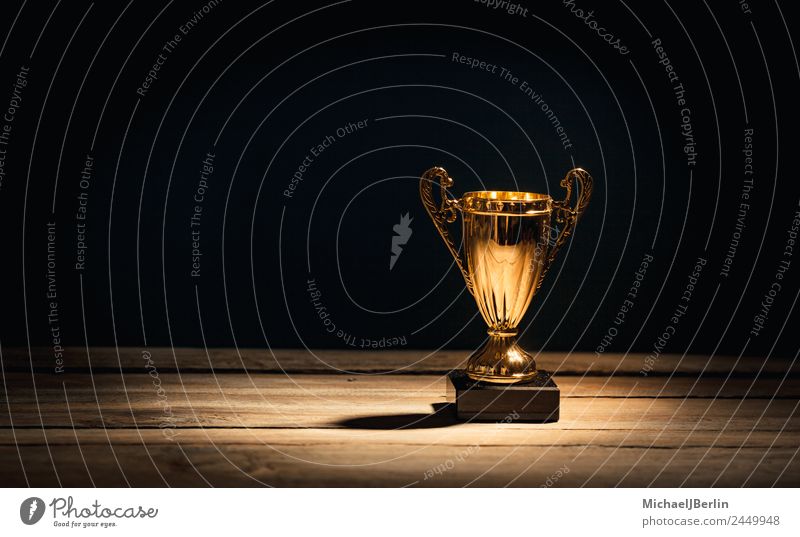 goldener Sport Pokal Erfolg Meister Farbfoto Studioaufnahme Textfreiraum links Schatten