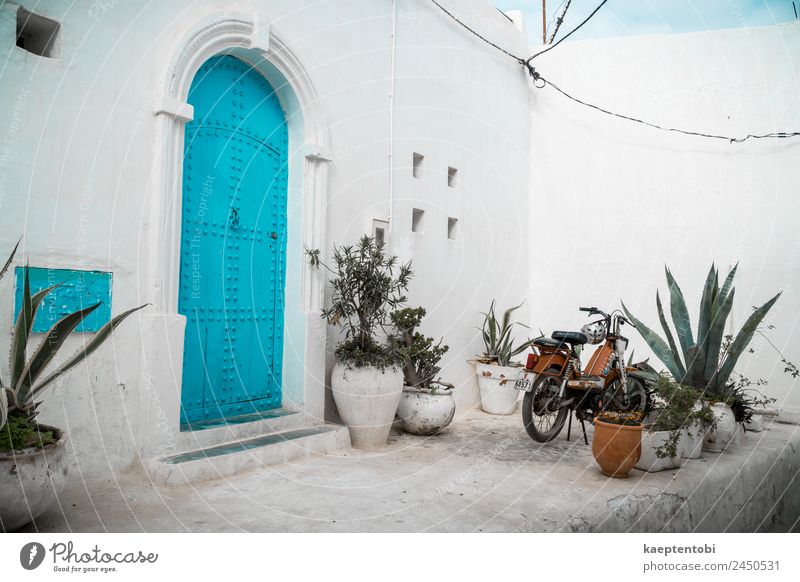 Mediterraner Stil in Marokko Lifestyle Freizeit & Hobby Ferien & Urlaub & Reisen Tourismus Ausflug Sightseeing Städtereise Sommer Sommerurlaub Haus Tür