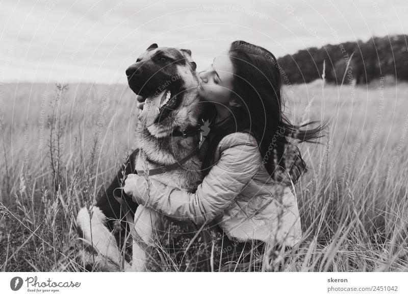 Mädchen umarmt einen Hund auf dem Herbstfeld Mensch feminin Junge Frau Jugendliche Erwachsene 1 18-30 Jahre Natur Landschaft Schönes Wetter Garten Park Feld
