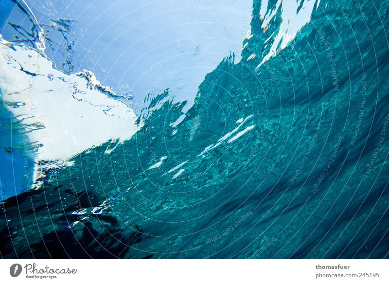 Fischperspektive II Freizeit & Hobby Sommer Meer Wellen tauchen Wasser Schönes Wetter Jacht Segelboot Wasserfahrzeug Bewegung fantastisch Flüssigkeit blau