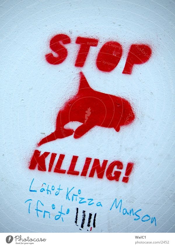 Graffiti Island Wal Delphine Mitteilung Europa Information Killing