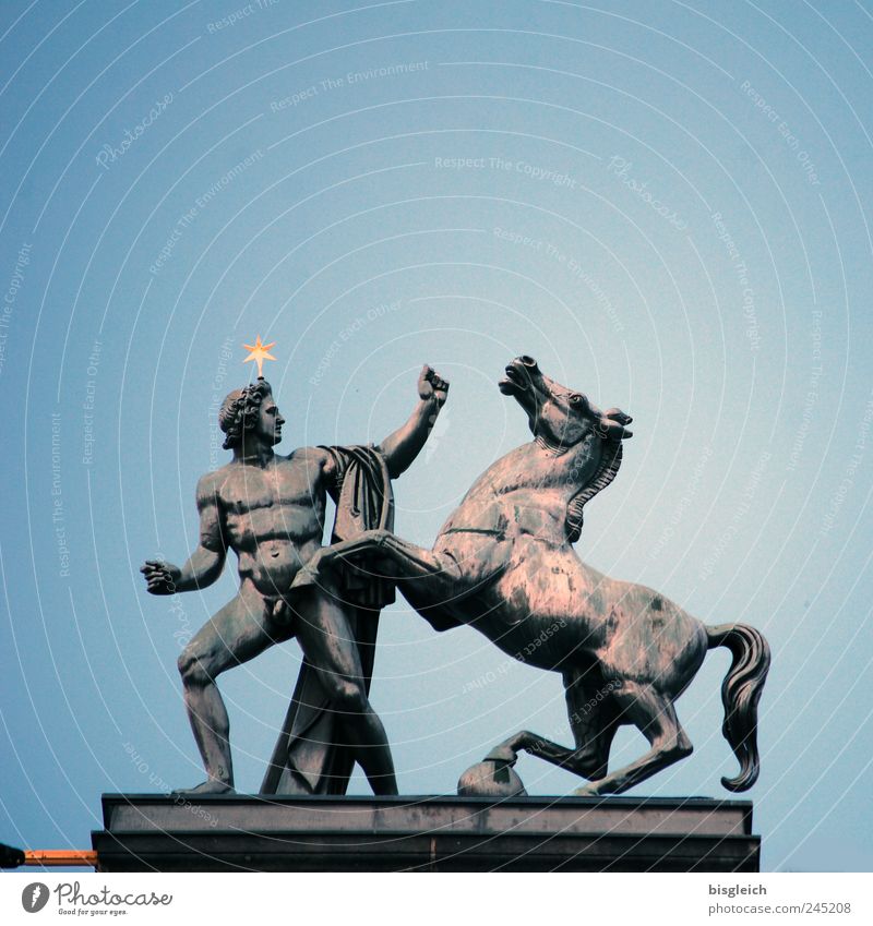Castor oder Pollux? Skulptur Statue Dioskuren Stern Berlin Deutschland Europa Hauptstadt Museum Altes Museum Dach Sehenswürdigkeit Pferd 1 Tier blau grau Kraft