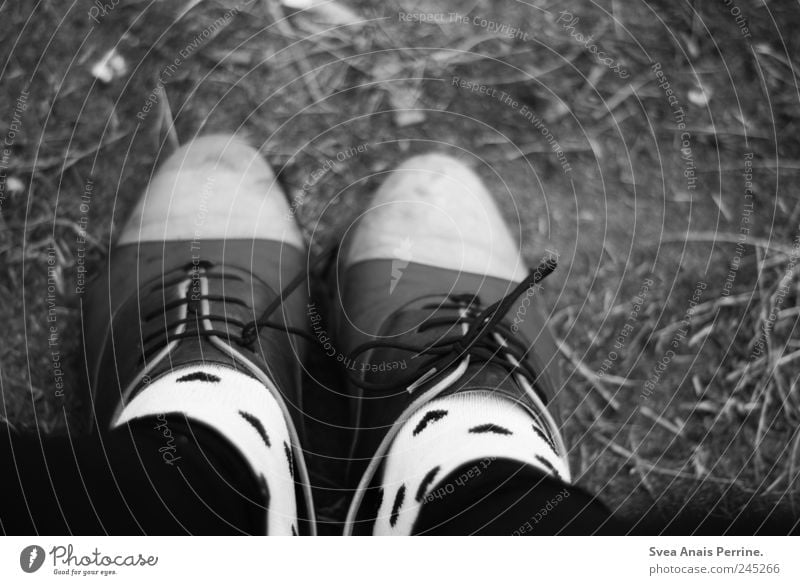 <3 feminin Frau Erwachsene Beine Fuß 1 Mensch Mode Strümpfe Leggings Schuhbänder Schuhe stehen außergewöhnlich trendy einzigartig Schwarzweißfoto Außenaufnahme