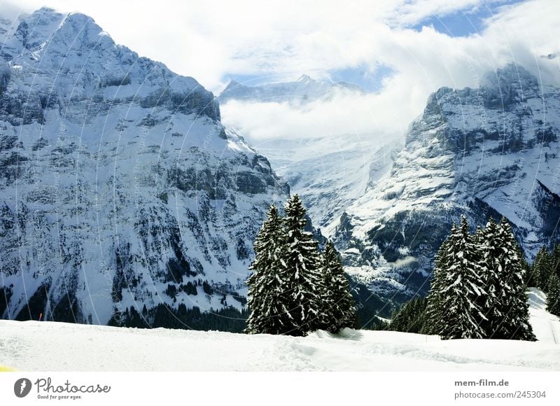 grindelwald Grindelwald Winterurlaub Schweiz schnee sonnig Berge u. Gebirge Alpen Fiescherhorn