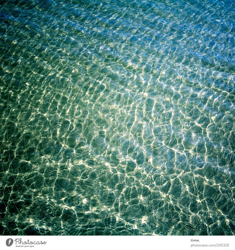 Sylter Craquelé Meer Wellen Umwelt Landschaft Sand Wasser Küste Nordsee glänzend nass blau gelb grün Ordnung feucht durchsichtig vibrieren zittern Flachwasser