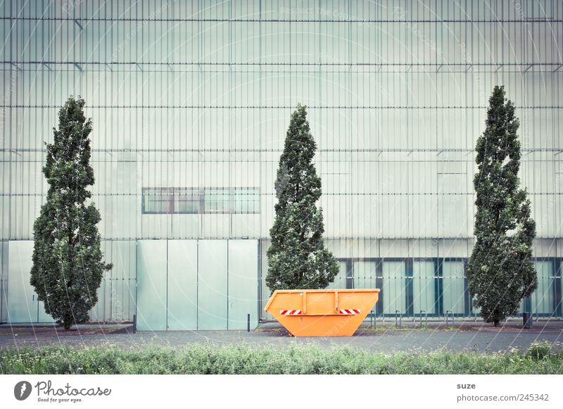 Museum der bildenden Künste Kunst Kultur Baum Wiese Bauwerk Gebäude Fassade Fenster Container trist Stadt grün orange Ordnung Wachstum Wandel & Veränderung
