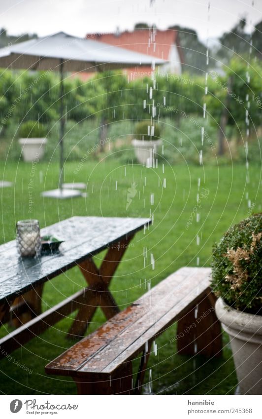 sommerwetter Garten Tisch schlechtes Wetter Regen Park Wiese Holz nass braun grün Gartenmöbel "bank wiese," Bank Sonnenschirm kalt feuchtkalt Farbfoto
