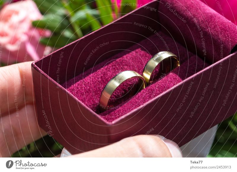 Hochzeitsringe Frau Erwachsene Metall Gold Zeichen Liebe rosa ästhetisch Ehering Schmuck Ring Farbfoto Menschenleer