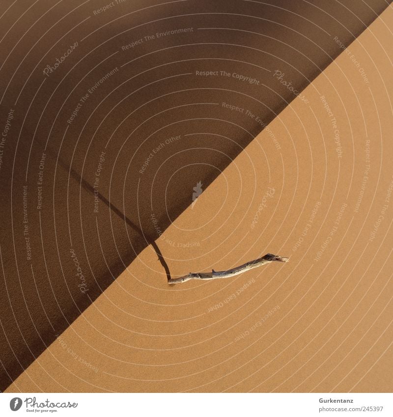 Sand im Quadrat Wärme Dürre Wüste verblüht dehydrieren dünn trocken braun gold Zufriedenheit Namibia Afrika Düne Sossusvlei Symmetrie Yin und Yang