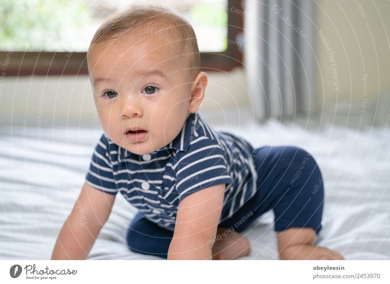 Porträt eines kriechenden Babys auf dem Bett in seinem Zimmer Glück schön Gesicht Bad Kind Mensch Kleinkind Junge Frau Erwachsene Kindheit Spielzeug Lächeln