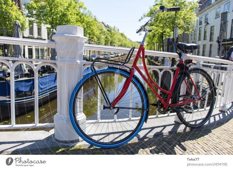 Hollandradl I Verkehr Verkehrsmittel Fahrrad ästhetisch Niederlande Farbfoto