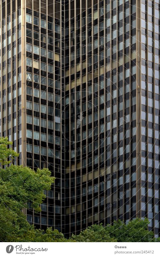 Berlin Steglitz Kreisel Hochhaus Fassade Fenster Glas Gebäude Bürogebäude Baum Blatt grün grau Menschenleer Architektur