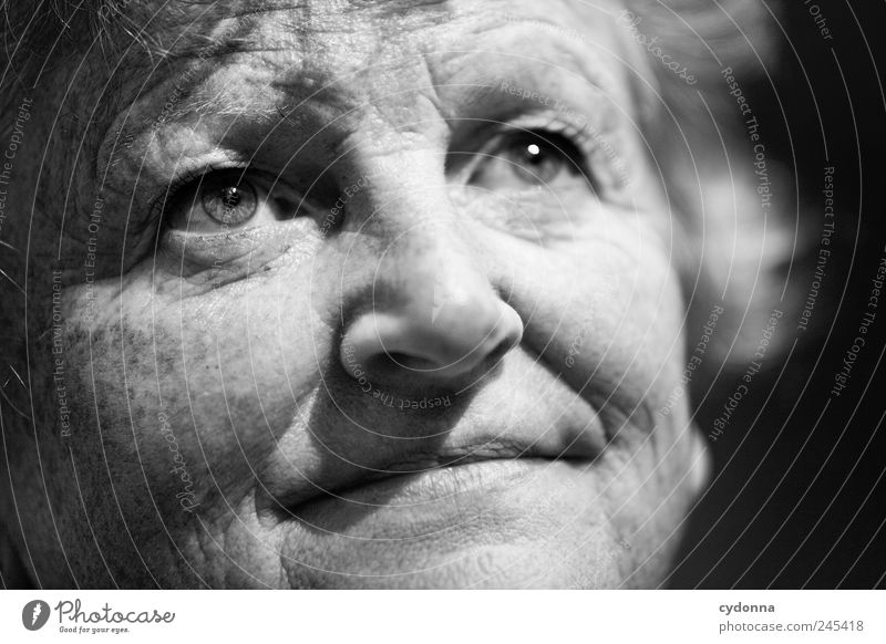 Erfahrung Lifestyle schön Haut Gesicht Leben Wohlgefühl Zufriedenheit Mensch Weiblicher Senior Frau 45-60 Jahre Erwachsene Beratung Bildung Freiheit
