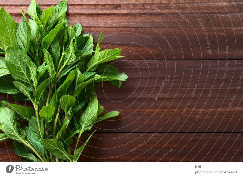 Frische Minze Kräuter & Gewürze Tee Alternativmedizin Pflanze Blatt frisch natürlich grün Krause Minze Bündel Abhilfe Medizin aromatisch duftig Zweig Geschmack
