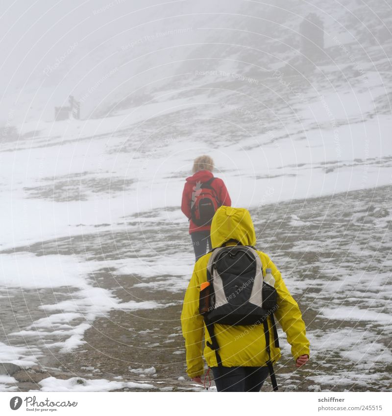 Schnee - das ist doch der Gipfel! 2 Mensch Natur schlechtes Wetter Sturm Nebel Eis Frost Felsen Alpen Berge u. Gebirge Schneebedeckte Gipfel wandern bedrohlich