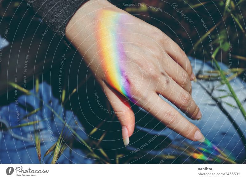 Frauenhand mit einem darin projizierten Regenbogen Stil Design feminin Erwachsene Hand Natur Pflanze Klima Wetter Schönes Wetter ästhetisch authentisch einfach