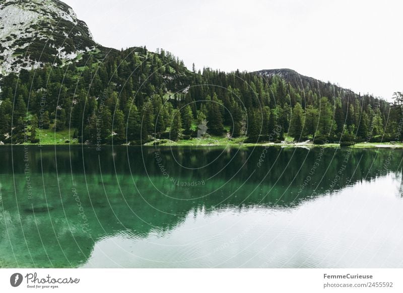 Beautiful cristal clear mountain lake in the alps Natur Landschaft Idylle Gebirgssee Alpen Berge u. Gebirge Nadelbaum Nadelwald Klarheit türkis See Farbfoto